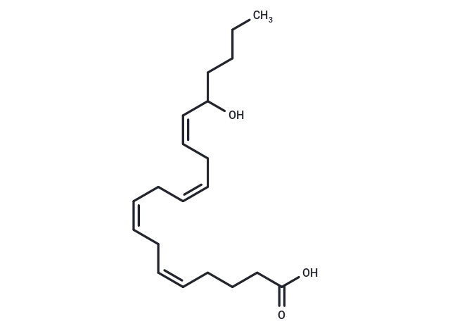 (±)16-HETE - Immunomart