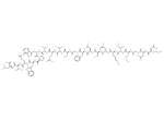 Acetyl-Heme-Binding Protein 1 (1-21) (human) 1 Acetyl-Heme-Binding Protein 1 (1-21) (human)