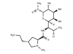 Clindamycin Sulfoxide 1 Clindamycin Sulfoxide