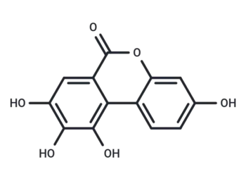 urolithin M6