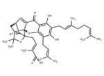 Isogambogenic acid