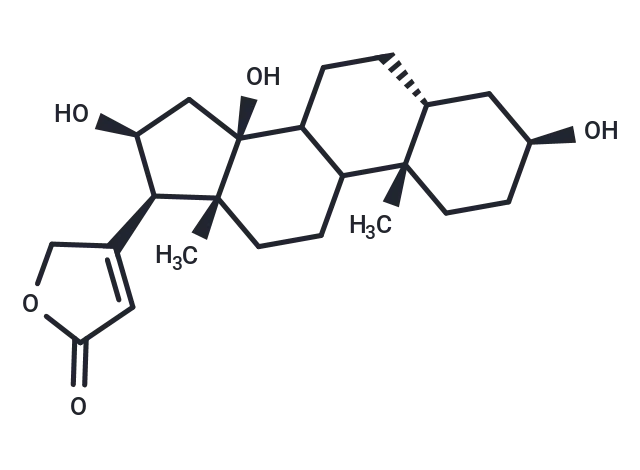 Gitoxigenin CgoaEGY7Tl6EU h4AAAAAKJWpyg250- Immunomart