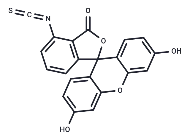 6-FITC CgoaEGY7TnqESzu4AAAAADSY GE410- Immunomart