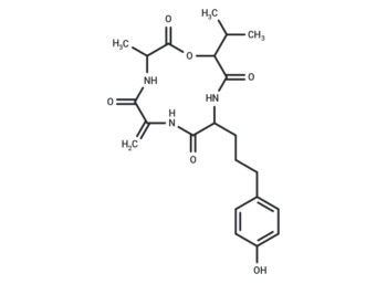AM Toxin III