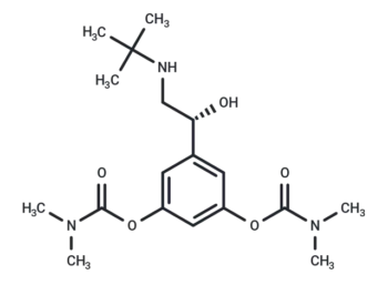 (R)-Bambuterol