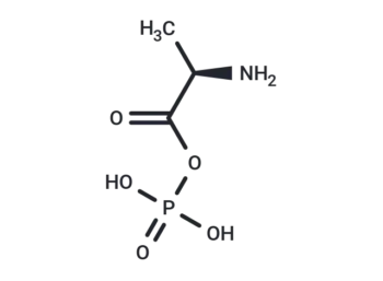 Alanylphosphate