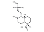 13-Hydroxylabda-8(17),14-dien-18-oic acid 1 13-Hydroxylabda-8(17)