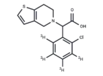 rac-Clopidogrel-d4 Carboxylic Acid