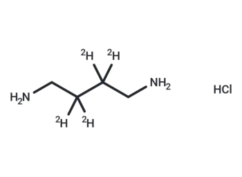 1,4-Butane-2,2,3,3-d4-diamine 2HCl