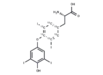 L-Thyroxine-13C6