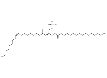 1-Palmitoyl-2-Oleoyl-sn-glycero-3-PA