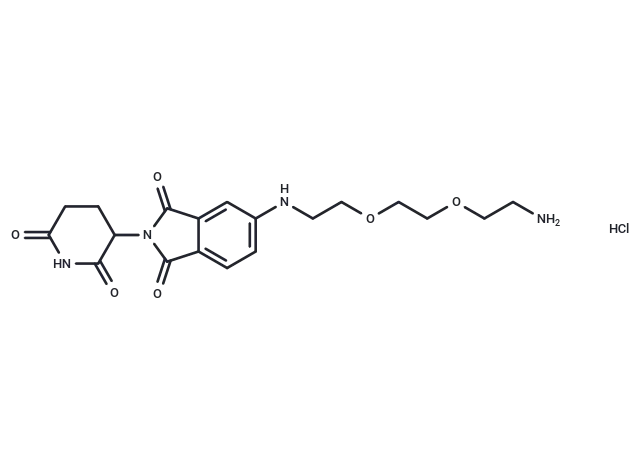 Thalidomide-5-NH-PEG2-NH2 hydrochloride CgoaEGZ9RkqEaFzoAAAAACHnSfk982- Immunomart