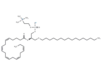 1-O-hexadecyl-2-Eicosapentaenoyl-sn-glycero-3-PC