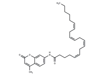 AMC Arachidonoyl Amide