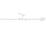 1-Palmitoyl-d9-2-Palmitoyl-sn-glycero-3-PE