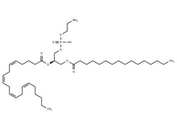 1-Palmitoyl-2-Arachidonoyl-sn-glycero-3-PE