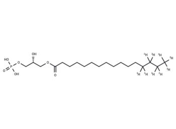 1-Palmitoyl-d9-2-hydroxy-sn-glycero-3-PA