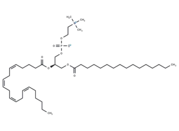 1-Palmitoyl-2-Arachidonoyl-sn-glycero-3-PC