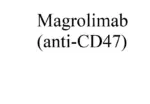 Magrolimab
