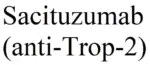 Sacituzumab