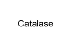 Catalase