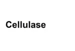 Cellulase