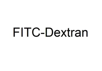 FITC-Dextran (MW 4000)