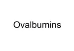 Ovalbumins