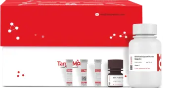 BCA Protein Quantification Kit