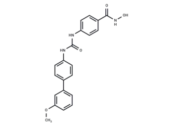 YPX-C-05