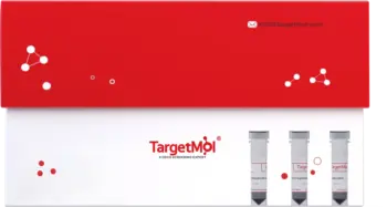 Mag Beads Streptavidin (300 nm), Sterile