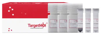 Protein A/G Immunoprecipitation Kit