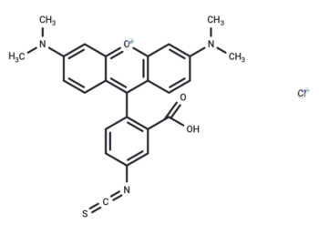 Rhodamine B, tetramethyl-, isothiocyanate