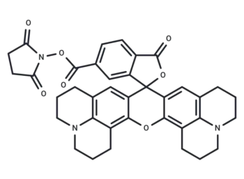 ROX NHS ester, 6-isomer