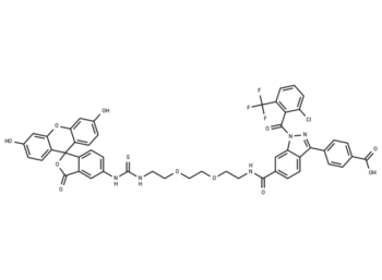RORγ allosteric probe-1
