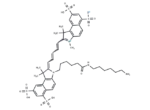 Sulfo-Cyanine5.5 amine