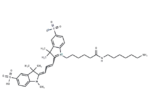 Sulfo-Cy3 amine