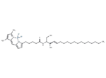 BODIPY FL C5-Ceramide