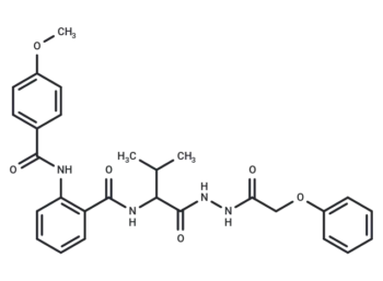 Wnt/β-catenin-IN-2