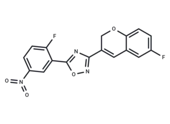 WYJ-2