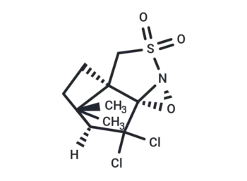(-)-8,8-Dichlorocampherylsulfonyl-oxaziridine