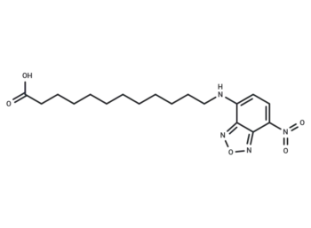 12-(7-Nitrobenzofurazan-4-ylamino)dodecanoic acid