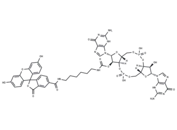 2'-Fluo-AHC-c-di-GMP