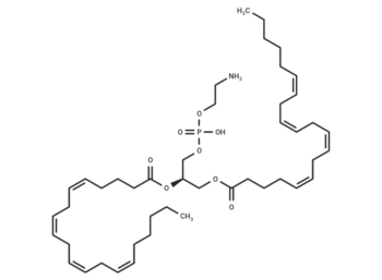 1,2-Diarachidonoyl-sn-glycero-3-phosphoethanolamine