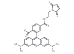 6-TAMRA maleimide