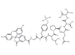 5-FAM-GpYLPQTV-NH2