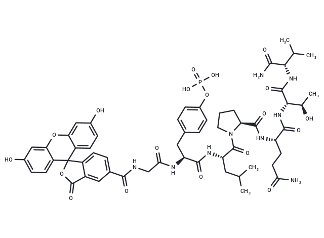 5-FAM-GpYLPQTV-NH2