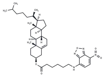 3-C6-NBD-cholesterol