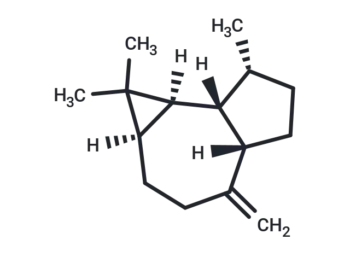 Alloaromadendrene