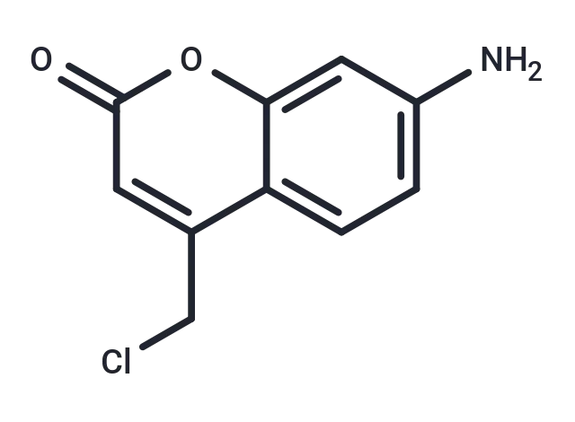 CellTracker Blue CMAC